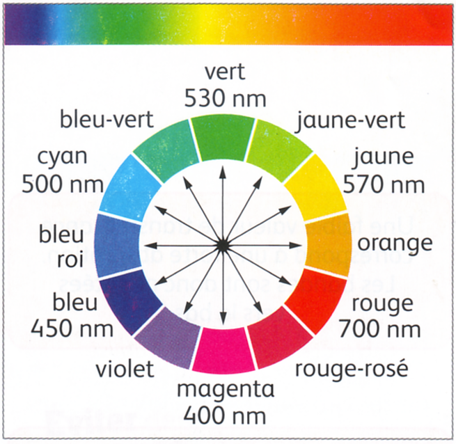 Le cercle chromatique
