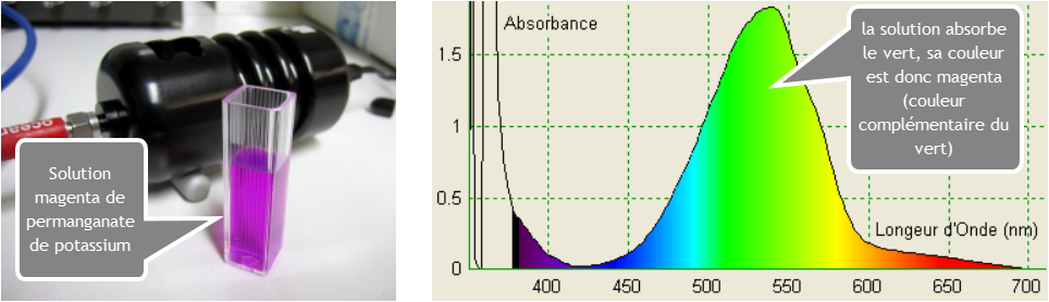La solution du permanganate de potassium absorbe les radiations vertes, la couleur transmise est donc la couleur
