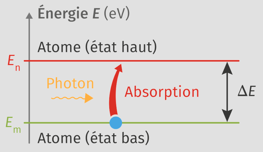 absorption
