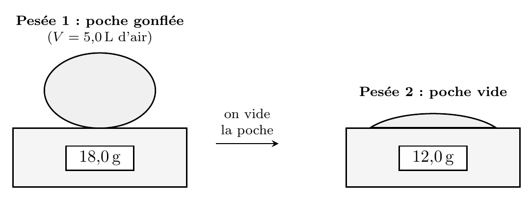 Deux pesées sur une balance : poche gonflée (18,0 g) puis poche vide (12,0 g)